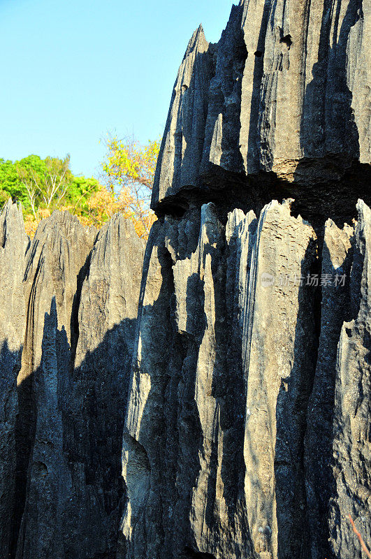 马达加斯加的Tsingy de Bemaraha
